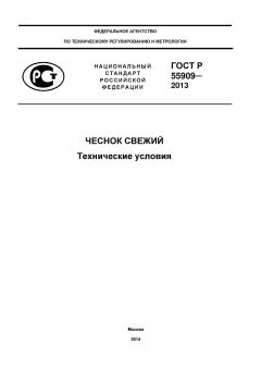 GOST R 55909-2013