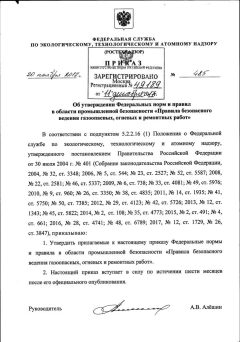 FNiP No. 485 dated 20.11.2017