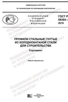 GOST R 58384-2019