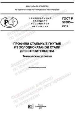 GOST R 58385-2019