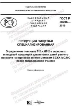 GOST R 58706-2019
